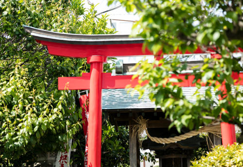 レストラン前・日本庭園　神社